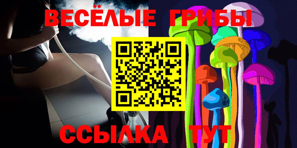 Псилоцибиновые грибы мицелий Сосновоборск